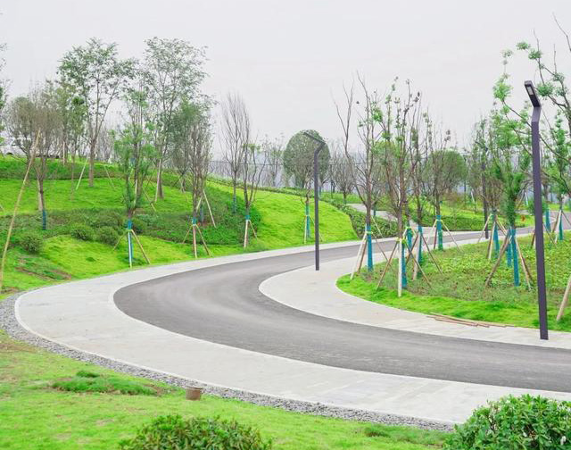斯格爾防水案例-石坪體育公園斜屋面防水施工現場